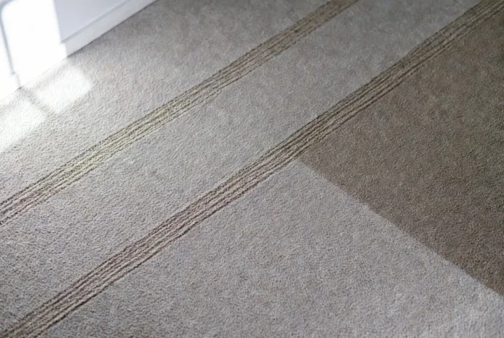 Carpet & Upholstery Steam Cleaning Swansea » Earnest Clean ...